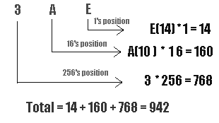 1786_Show the procedure of Hex to Decimal Conversion.png